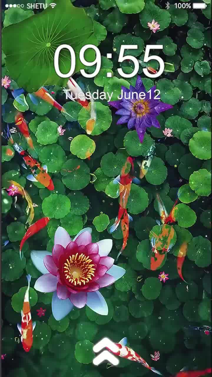 Free app. Download now.