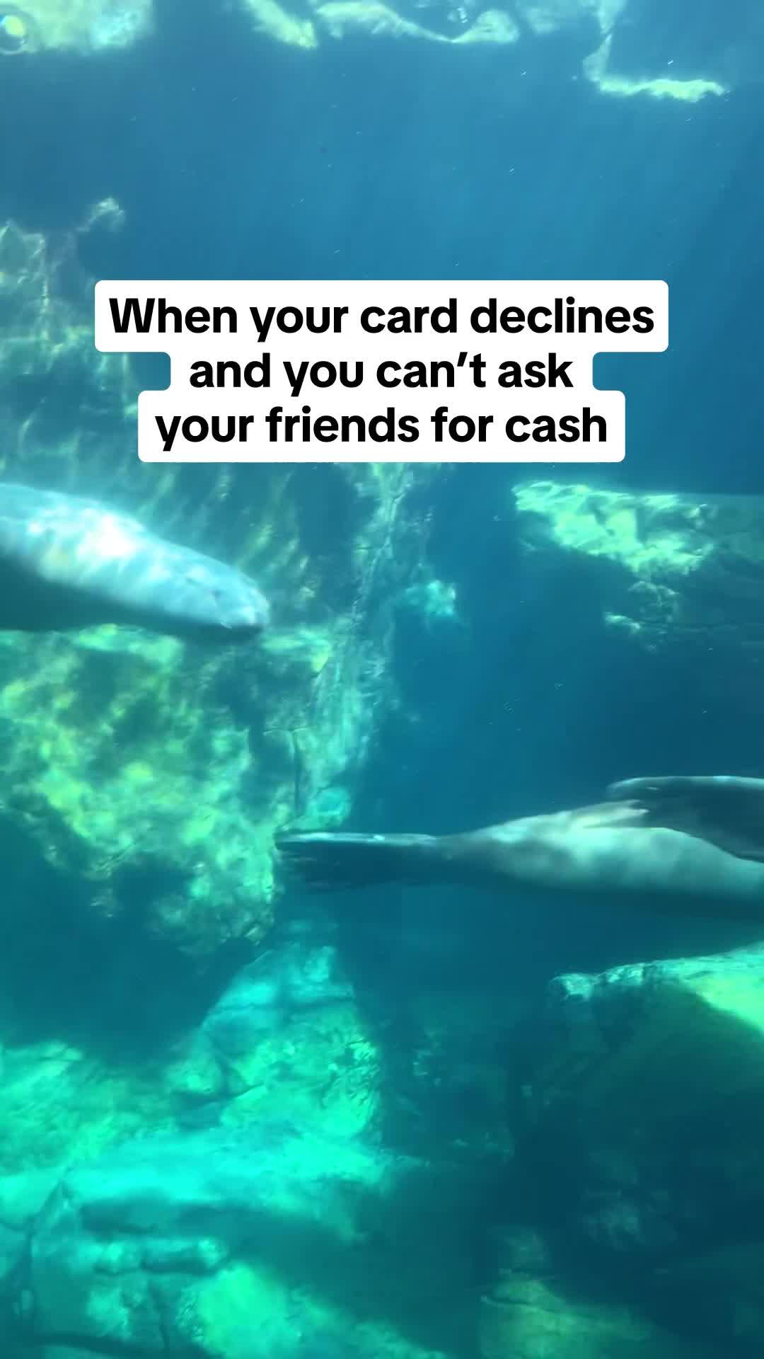 This app sends you up to $250