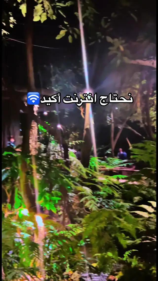 استخدمت في هالسفرة Flyesim تغطيتهم رهيبة حول العالم و الميزة اللي عجبتني ان اذا الشبكة المشغلة ضعيفة تلقائيا يحول على الشبكة المشغلة الثانية @Flyesim app  @جوسف 🇴🇲🇸🇦  #سفر #نت #سياحة #انترنت #العالم #ايطاليا #تايلاند #روسيا #جوسف  