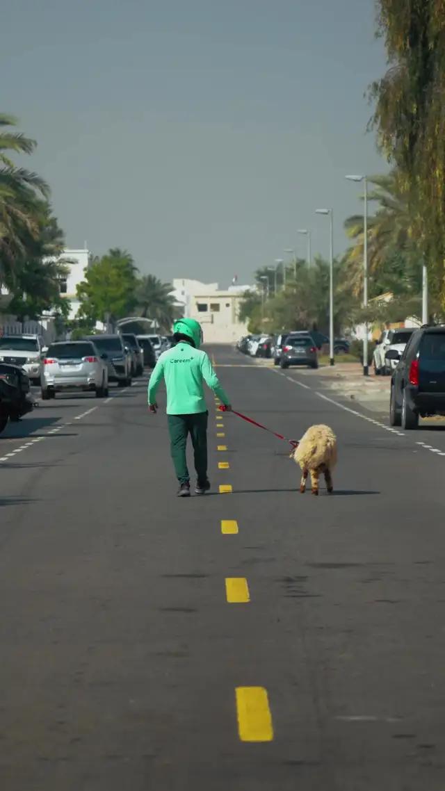 Make Eid easy with Quik. Tap to order your Udhiya meat, delivered fresh and ready to cook.