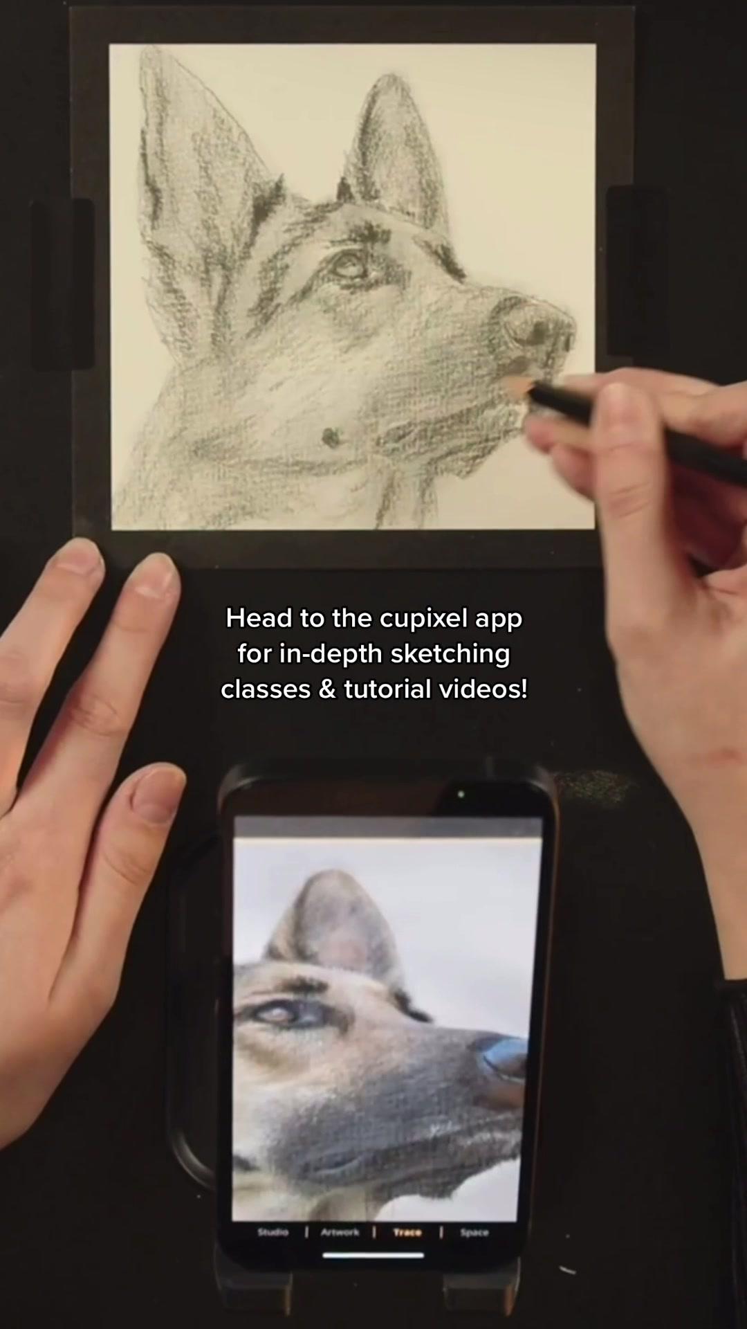 Learn how to sketch with the Cupixel app! You can find the full version of this tutorial video and more under the “sketching” category ✏️ #cupixel #sketch #sketching #drawing #app #augmentedreality #artclass #arttutorial #tutorial #arttok #petportrait #realism #dogart #germanshepherd