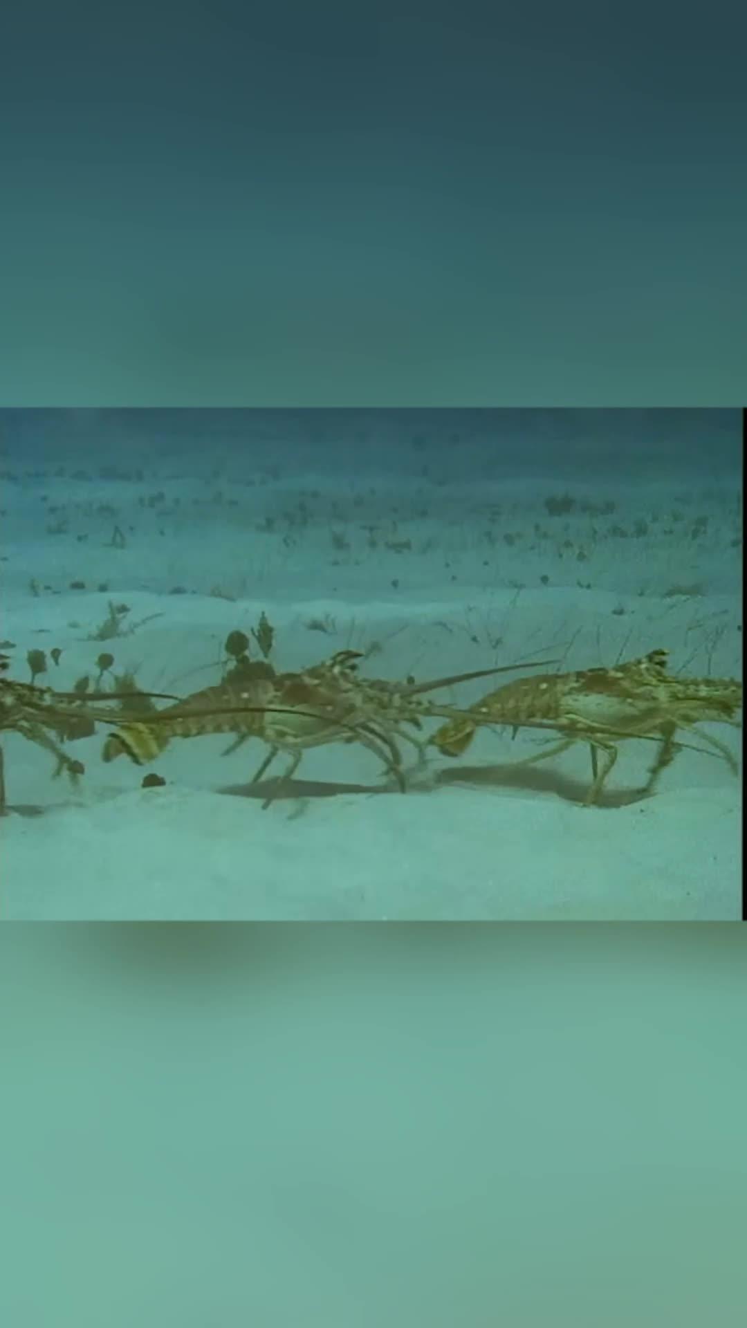 細膩逼真的3D畫面，帶你體驗釣魚的視覺盛宴！立即下載歡樂釣王傳奇！