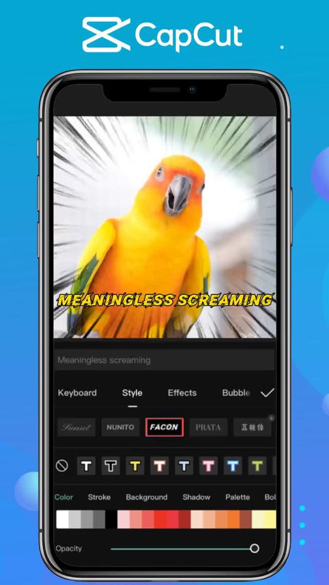 Capture the moment and Cut!