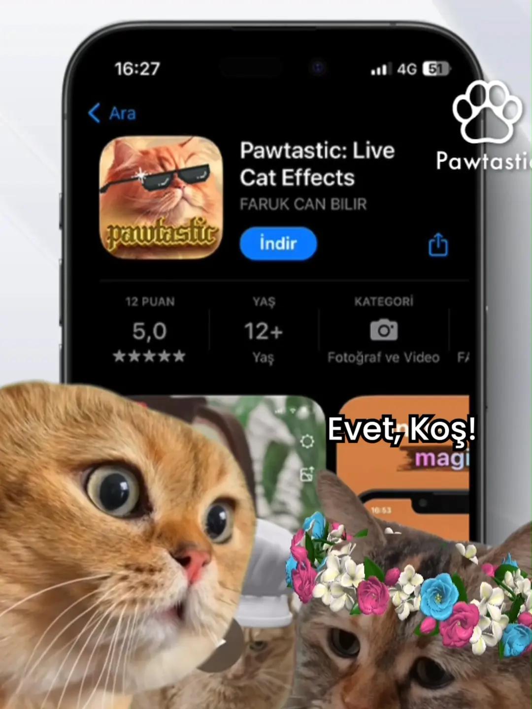 Patili dostlarımız kedilere özel birbirinden güzel efektler ile eğlenceyi kalıcı hale getirin. Pawtastic Live Cat Effects uygulamamızı App Store üzerinden ücretsiz indirebilirsiniz. #pawtastic #cat #kedi #fun #funny #eğlence #efekt #filtre #eğlence