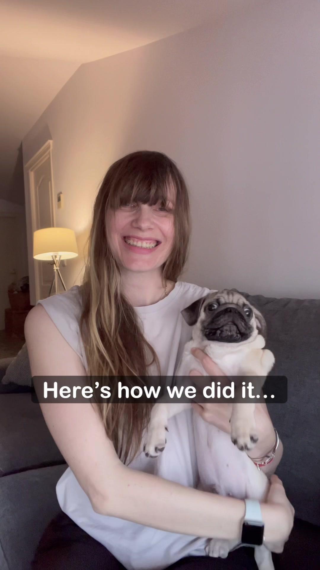 Wait for the surprise ending… 🐶 3 easy transitions, edited with @spliceapp ✨#transition #learnontiktok #videoedit #pug #transitiontutorial