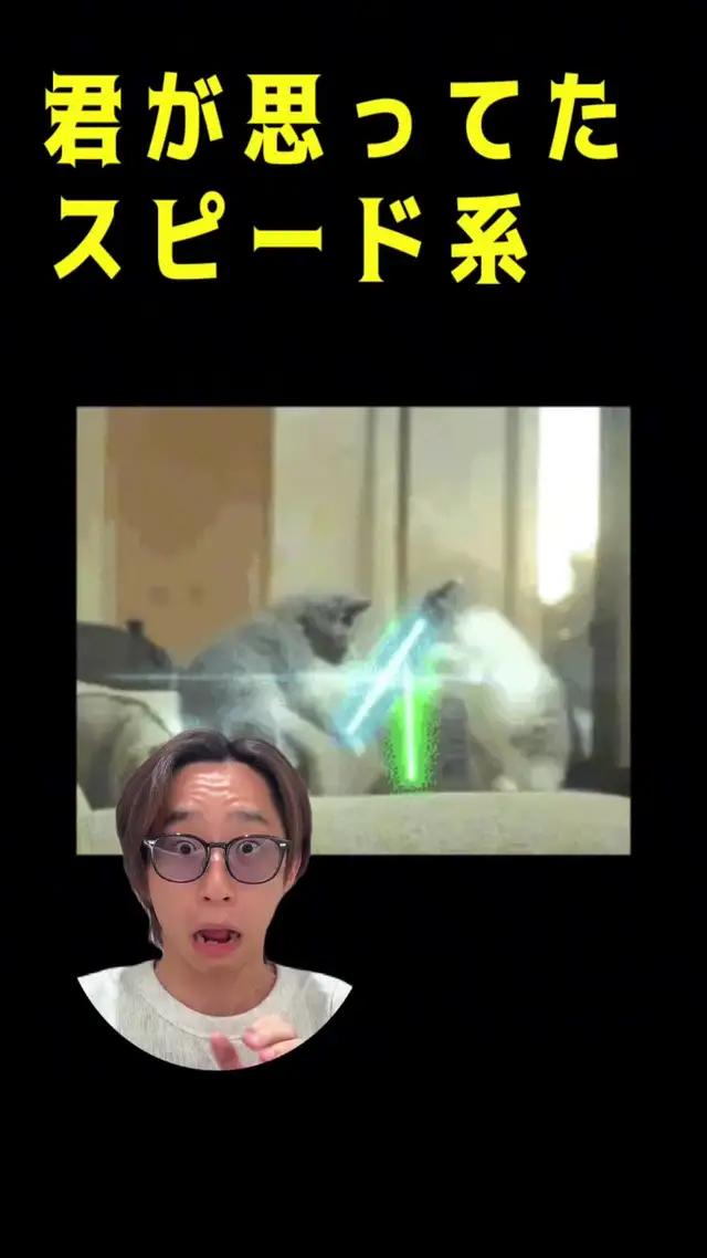 本日正式リリース