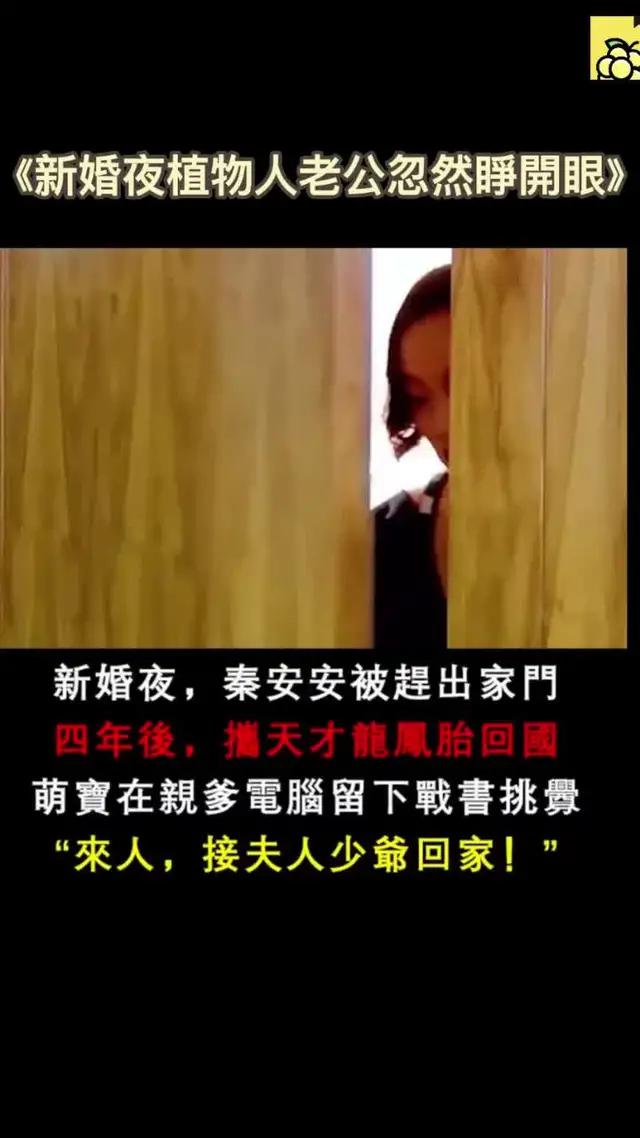 這本甜寵爽文，這次一定不能錯過