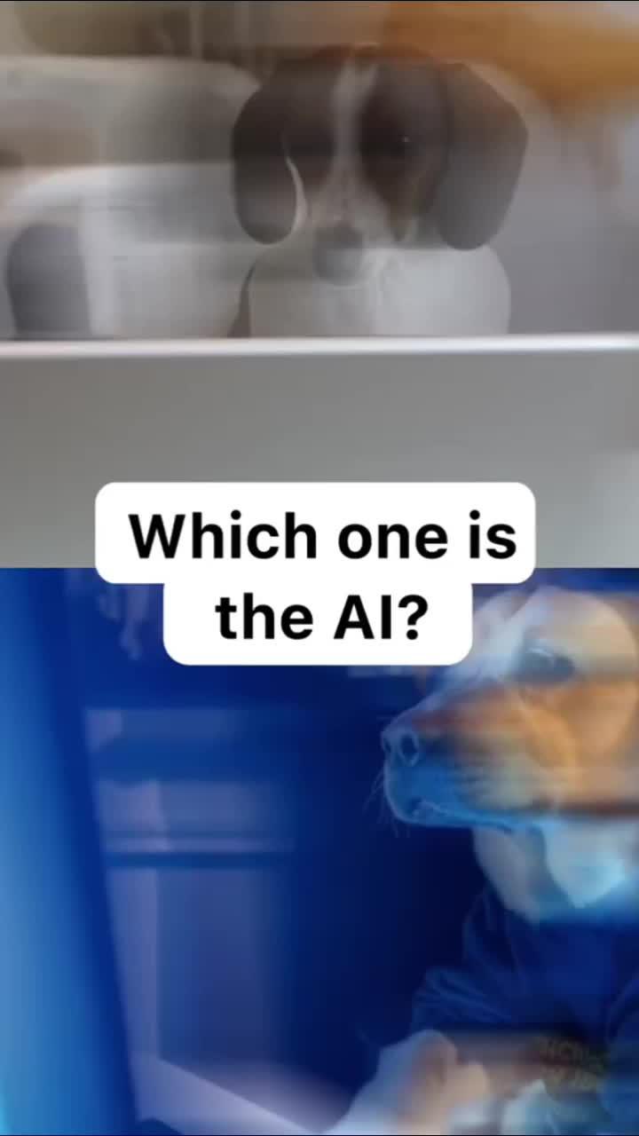 Convert words into amazing videos with AI Photo Enhancer！