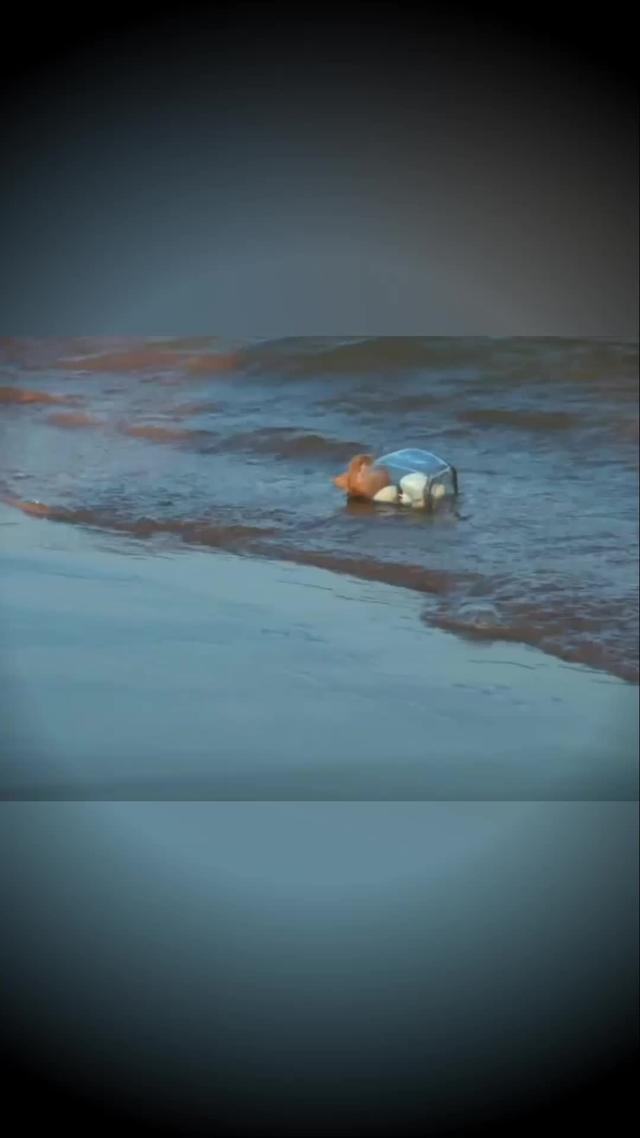 下載Met，探索更多精彩內容