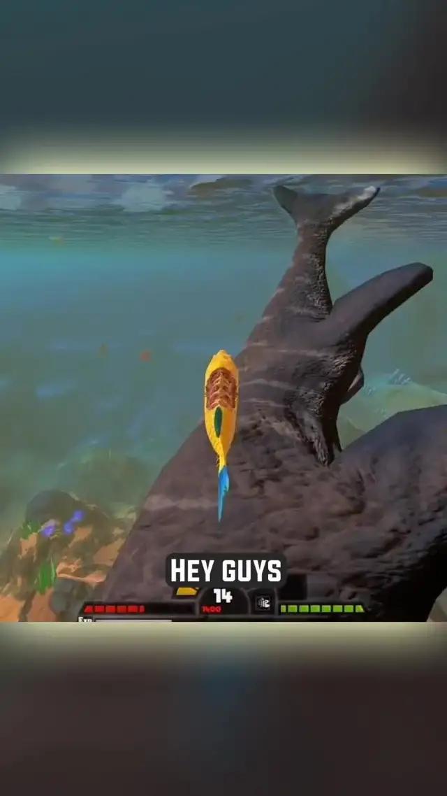 Only one team can survive, can you become the king of the ocean ?