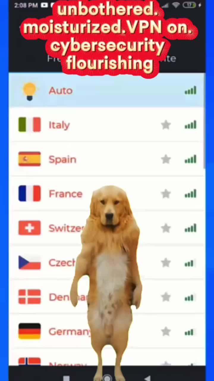 Use Free VPN connecting