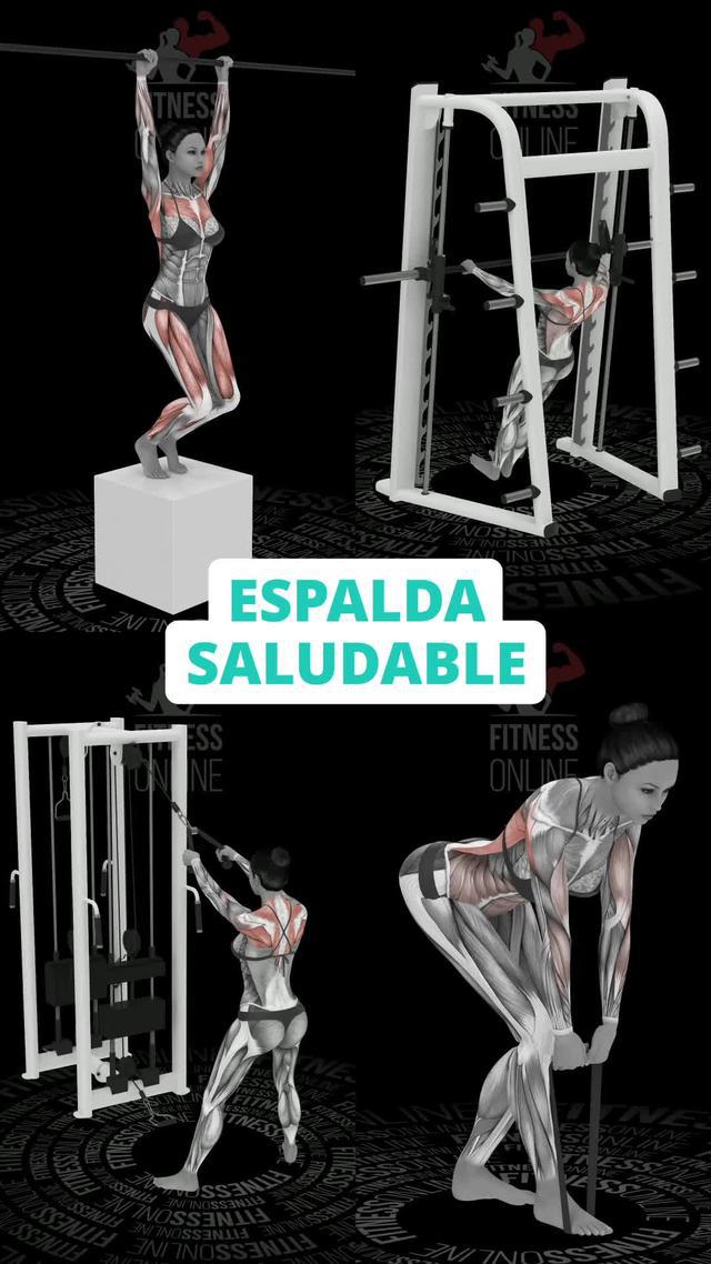 Entrenamientos efectivos. Logra la mejor versión de ti mismo