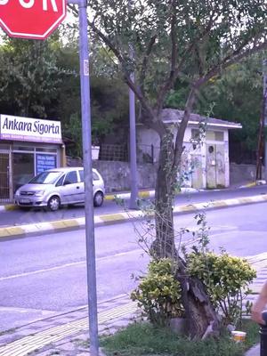 写真を撮って翻訳しよう！