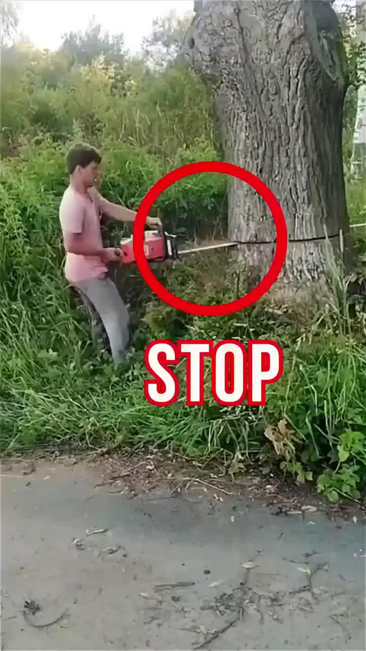 Try for free!