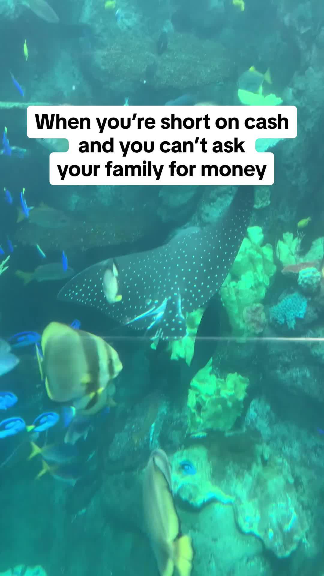 This app sends you up to $250