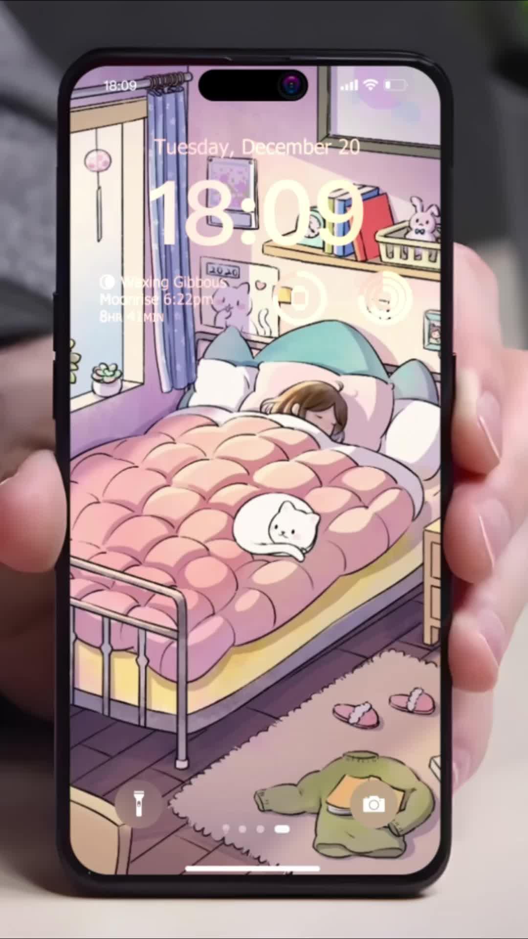 HDライブ壁紙と4K壁紙