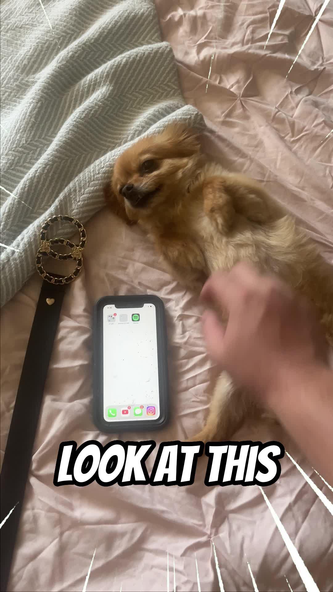 One Tap Make Your Icons Awesome！