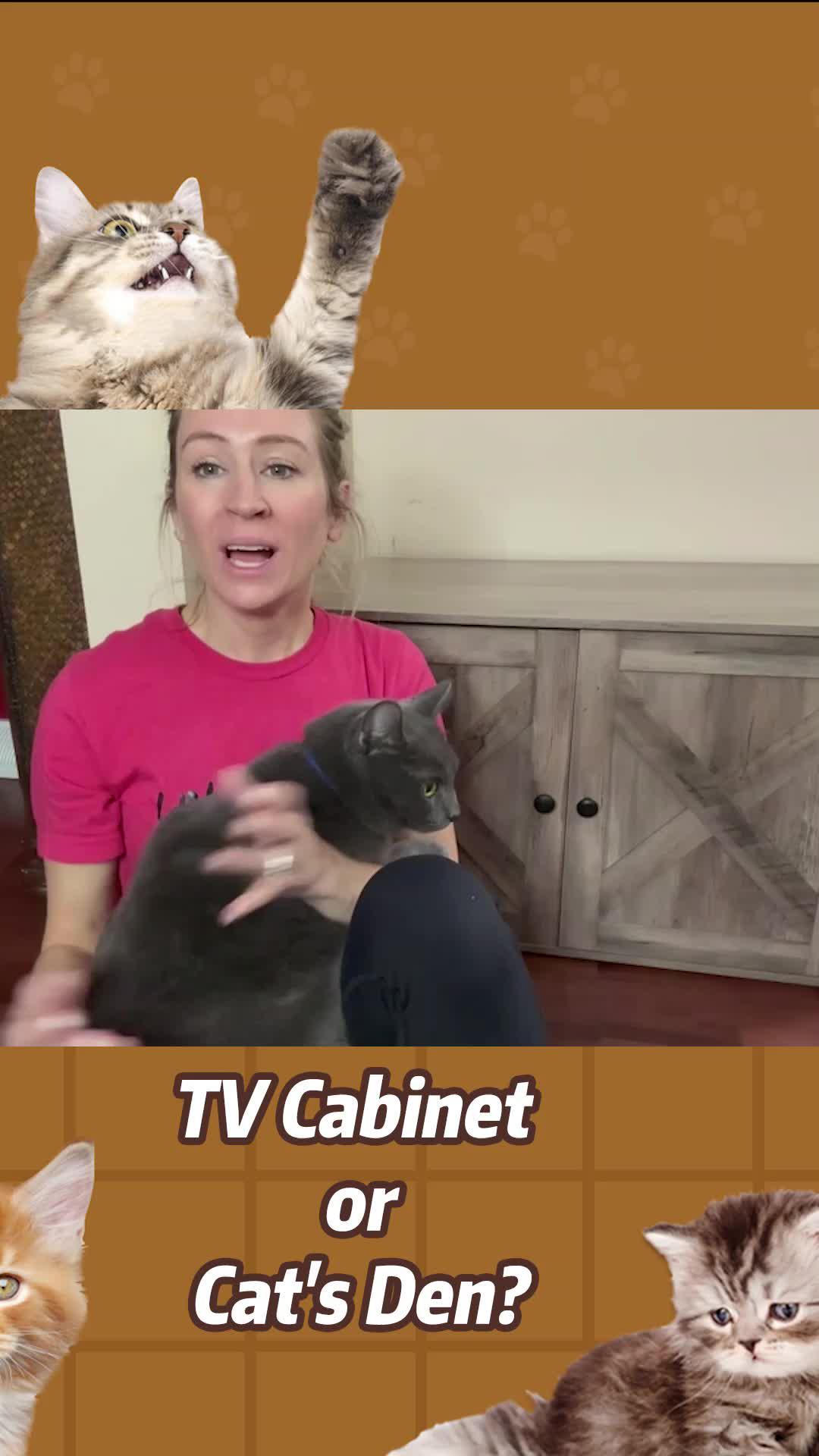 Pawsitively purrfect gift for our furry friends! 🐾 Because every wag and purr deserves to be celebrated. 🎁💕 #FurryLove #PetGifts #CherishedMoments #PetsOverEverything