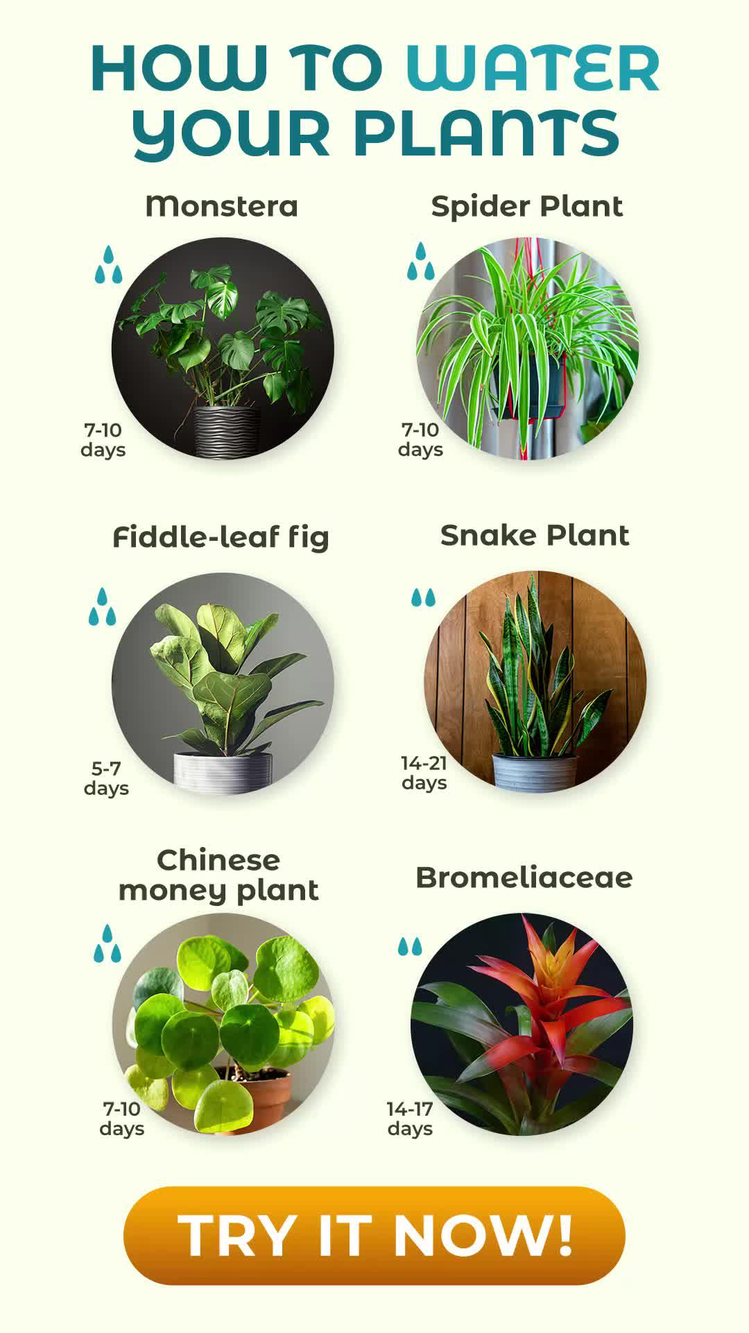 Instantly identify 10,000+ plant species, include flower, tree, leaf, weed, and more.