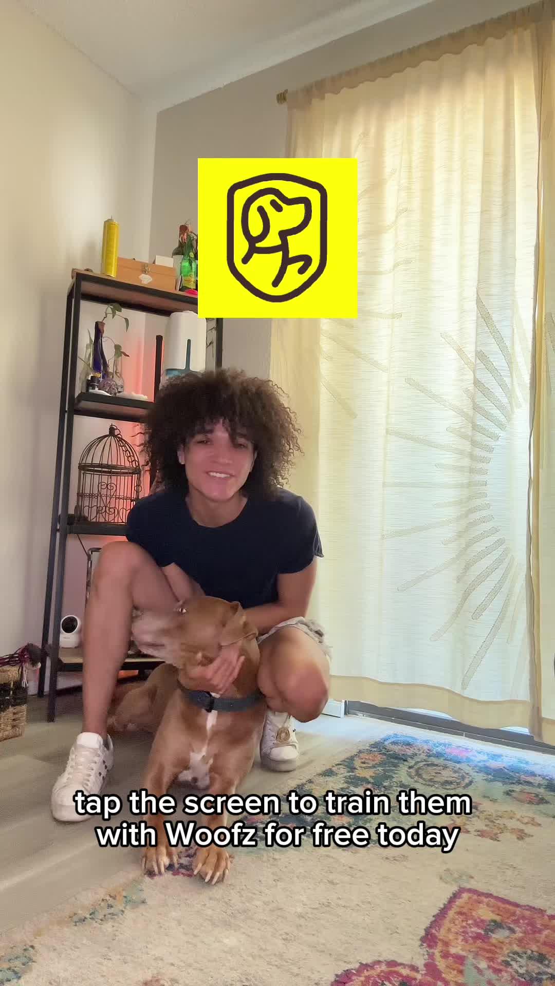 Elevate Your Pup's Skills in Days with Woofz!