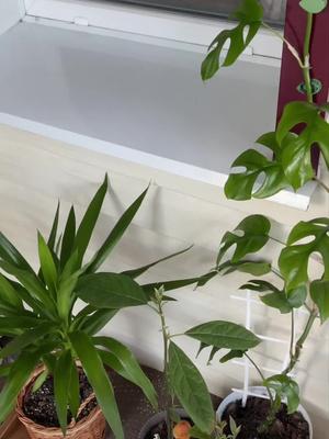 Track your plants' progress. Get personal notifications on plant care