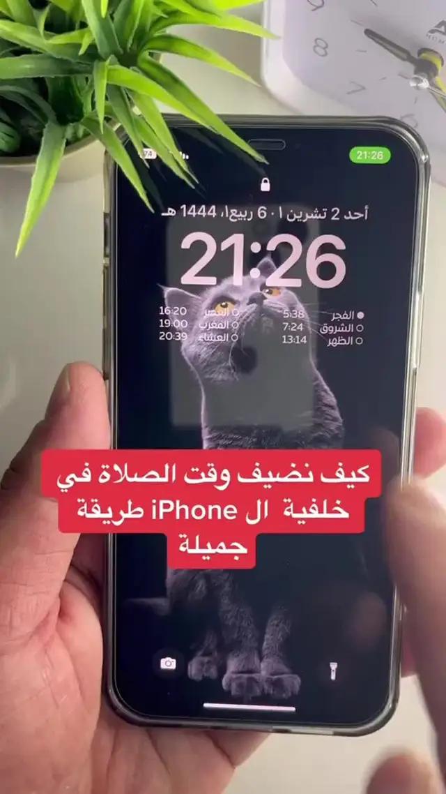 تطبيق رائع للأطفال لتعلم القرآن.