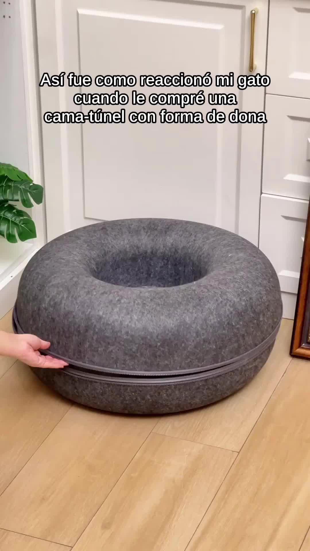 ¡Atención amantes de los gatitos! 🐈💤 ¿Listos para ver a sus felinos desbordando felicidad? Les tengo el ¡boom! en cuevas para gatos: nuestra Cat Cave tipo Donut Peekaboo. No sólo es un túnel y cama suave donde pueden esconderse y dormir plácidamente, sino también ¡resistente a los arañazos! Aquí el entretenimiento gatuno se reimagina. Imagínense a su michi enrollándose dentro del donut suavecito y saltando por el túnel 🔍🍩 mientras mantienen esas garras bien alejadas de los muebles. Perfecto para machos o hembras de hasta 30 libras, este refugio acogedor es el espacio seguro que su gato estaba maullando por tener. ¡Dale a tu amigo peludo el regalo de la perfecta escapada dentro de tu hogar! 🎁😻 #CatCave #catbed #gatofeliz #juegosdegato #decoracionmascotas #mueblesgatos #gatossaludables #amorporlosgatos #juegoymimos #comprasinteligentes #reelsgatunos