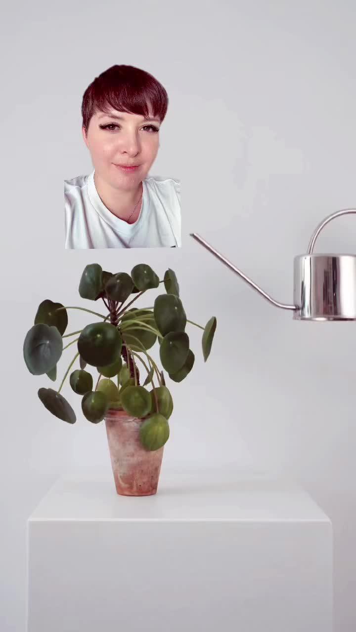 Can you help playtest?