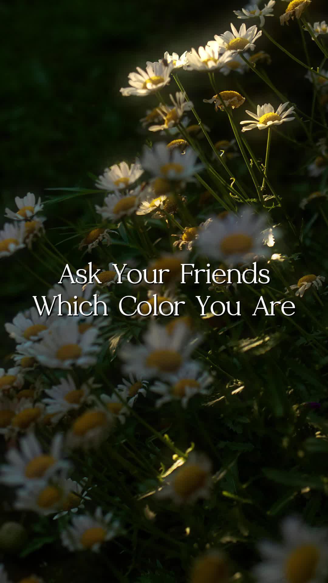 💖all clothes from @Temu very ready for summer☀️✨#summerhaul #haultok #fashion #style #styleinspo #fitinspo #outfits #haul #temu #temuhaul #temufinds #whattowear #ootd