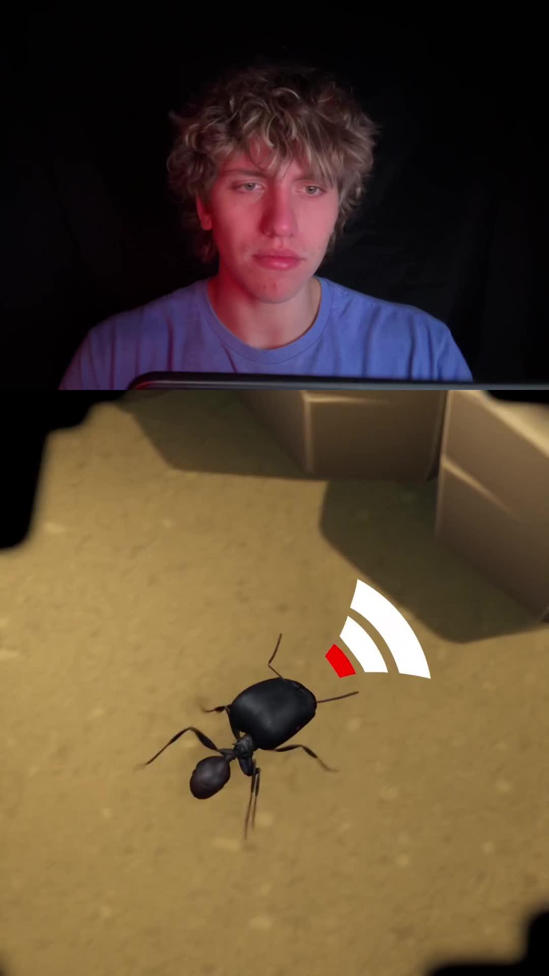 Ants are really cool creatures!!