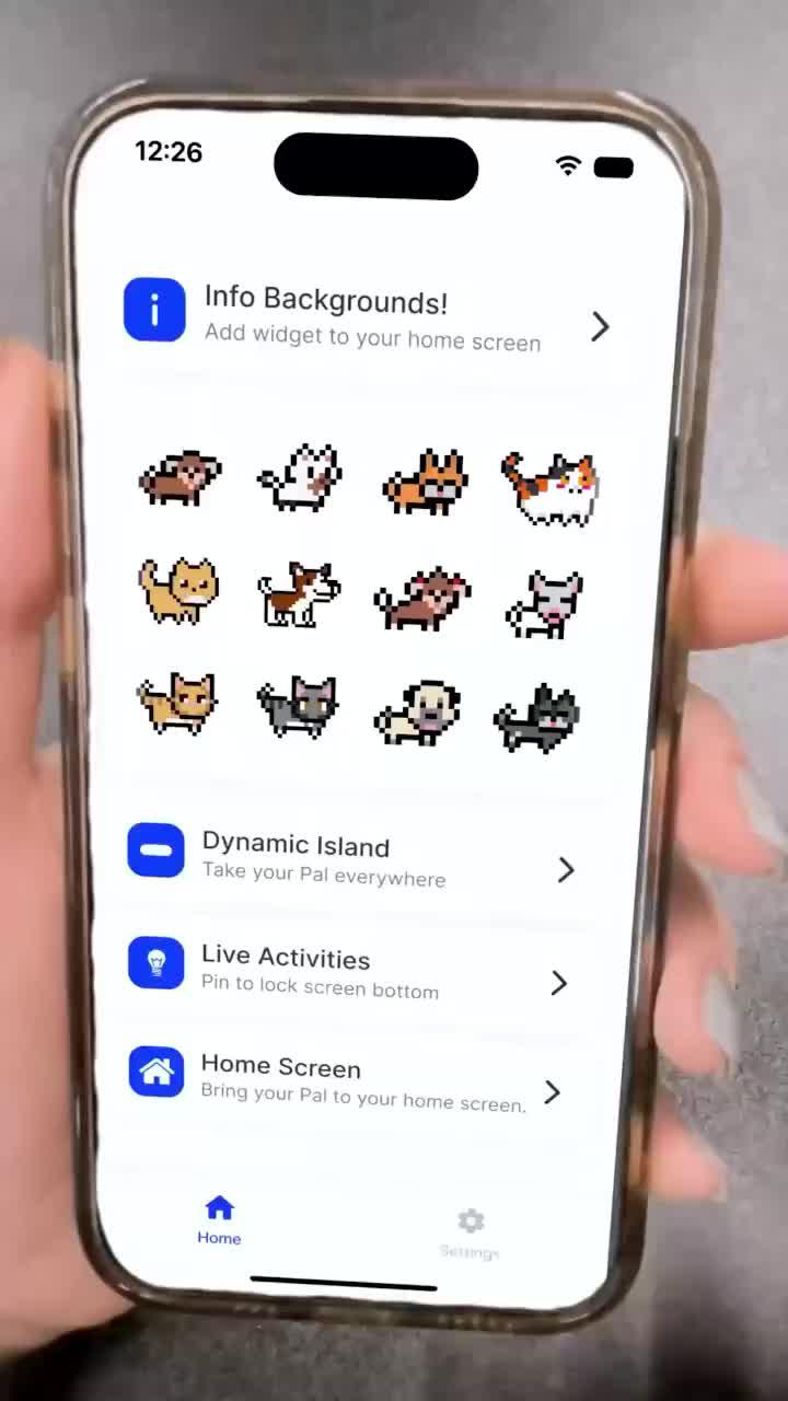 Set exclusive widgets pet for your Phone