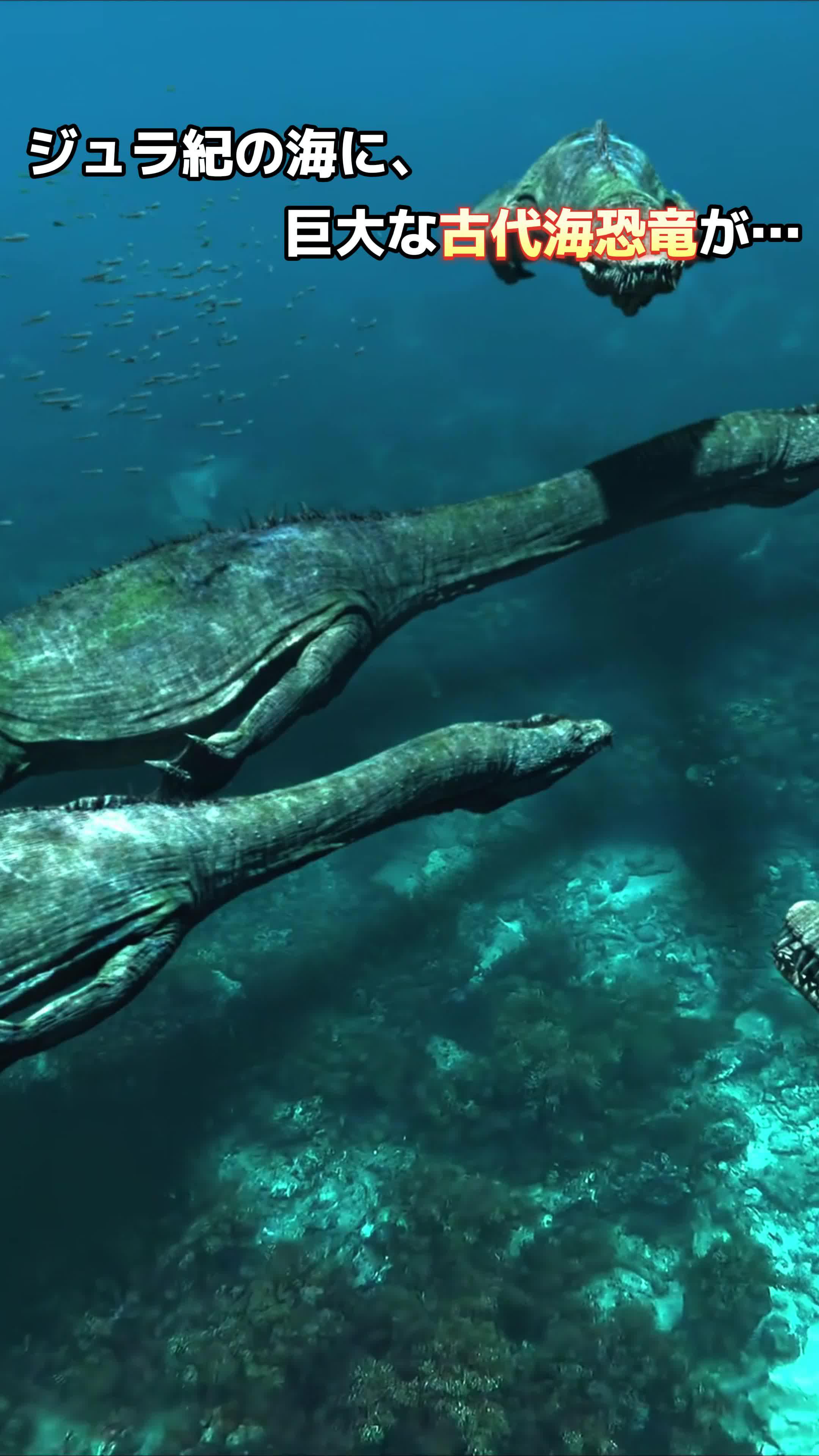 ギフトコードDNIO888を入力し、大量のダイヤとコインを受け取りましょう！