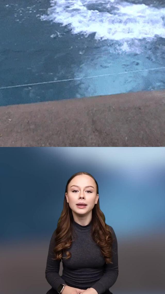 Funny message text changer