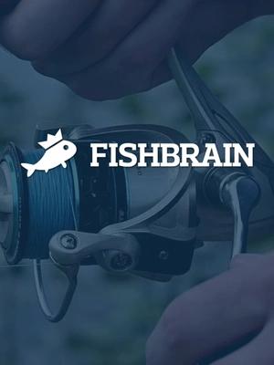 Choose the right bait this summer.