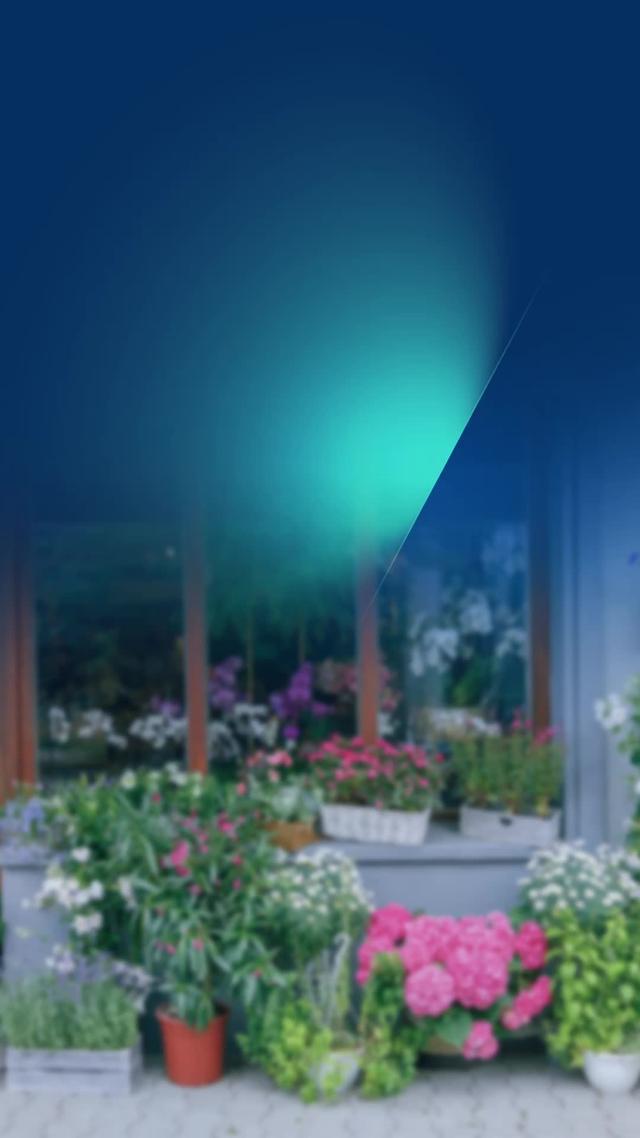 Çiçek Market’te %20 indirim fırsatı! CICEKM20 koduyla Mobil’den müşterimiz olun.