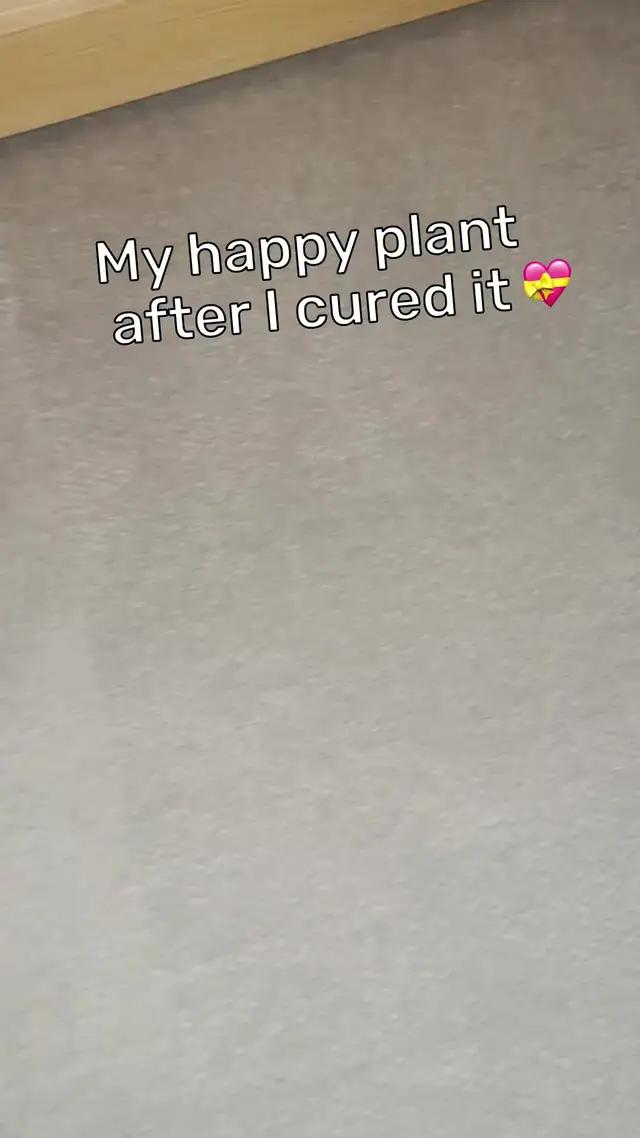 Identify plants & diseases.