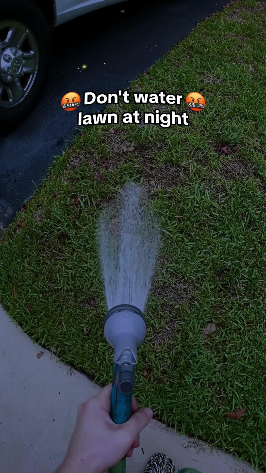 Last chance to make your lawn greener!