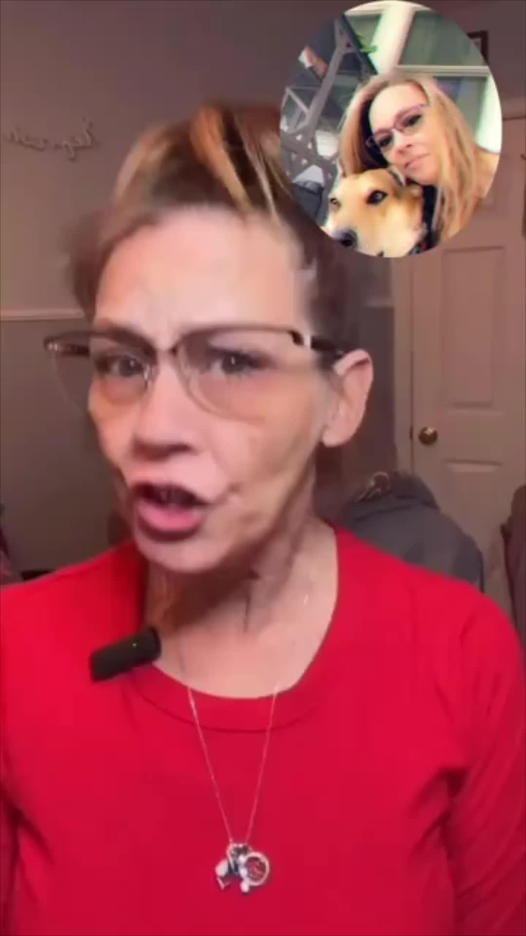 Start training your dog today!