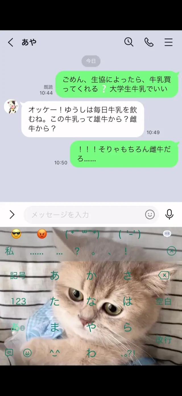 常識や、常識！#常識#LINE#牛乳は雌牛から #面白い友達 #アホだな #アホすぎる #キーボード #不思議