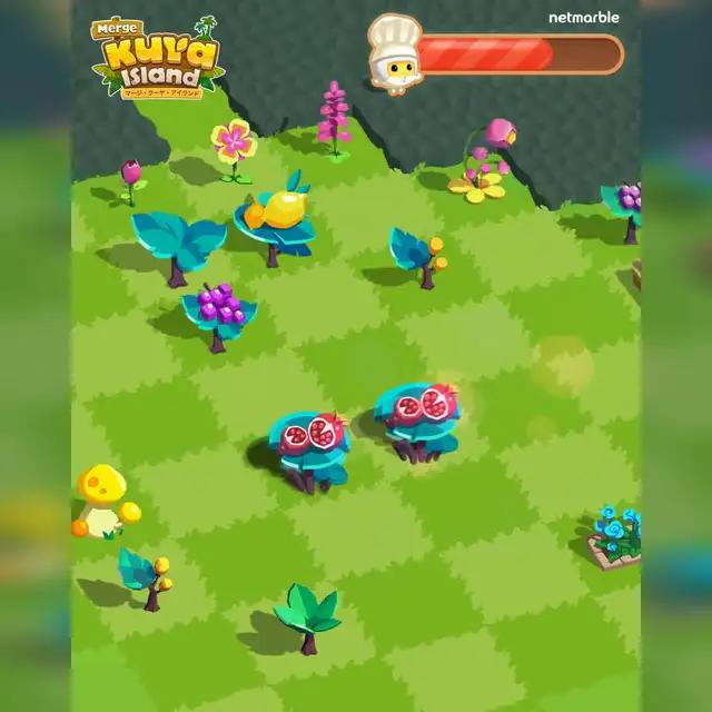 マージ・クーヤ・アイランドで魅力いっぱいのクーヤをプレイしよう