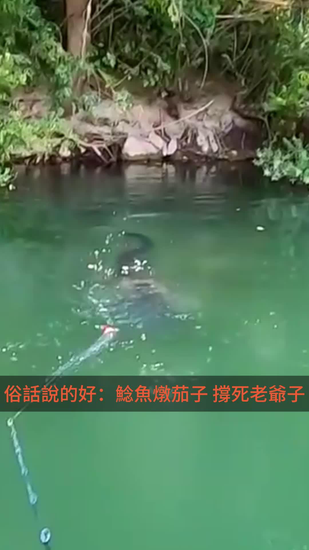 細膩逼真的3D畫面，帶你體驗釣魚的視覺盛宴！立即下載歡樂釣王傳奇！