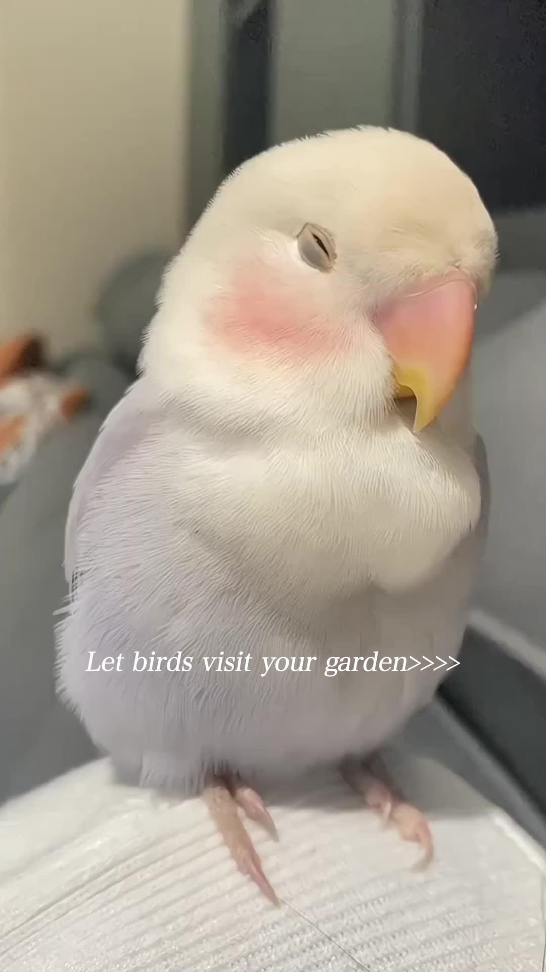 Price Drop Alert💥 Don't miss out on Temu's Big Sale Event!🥳 Click on the card to shop and explore more amazing deals!! 🔥 #temu #temufinds #shoptemu #temuhack #giftideas #deals #sale #gadgets