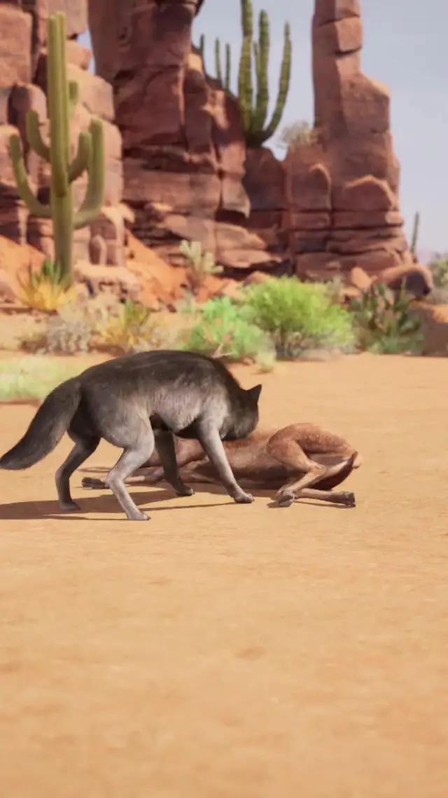 Become the KING of the wild!