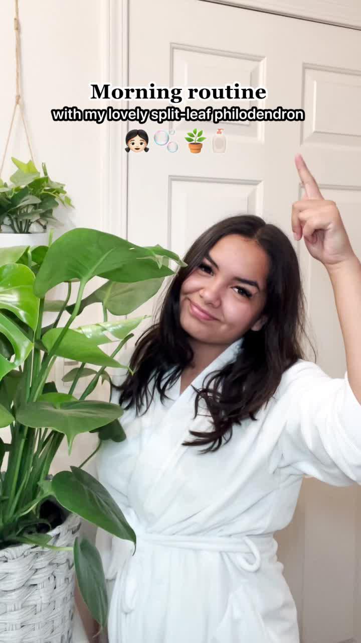 Get Lily for FREE!