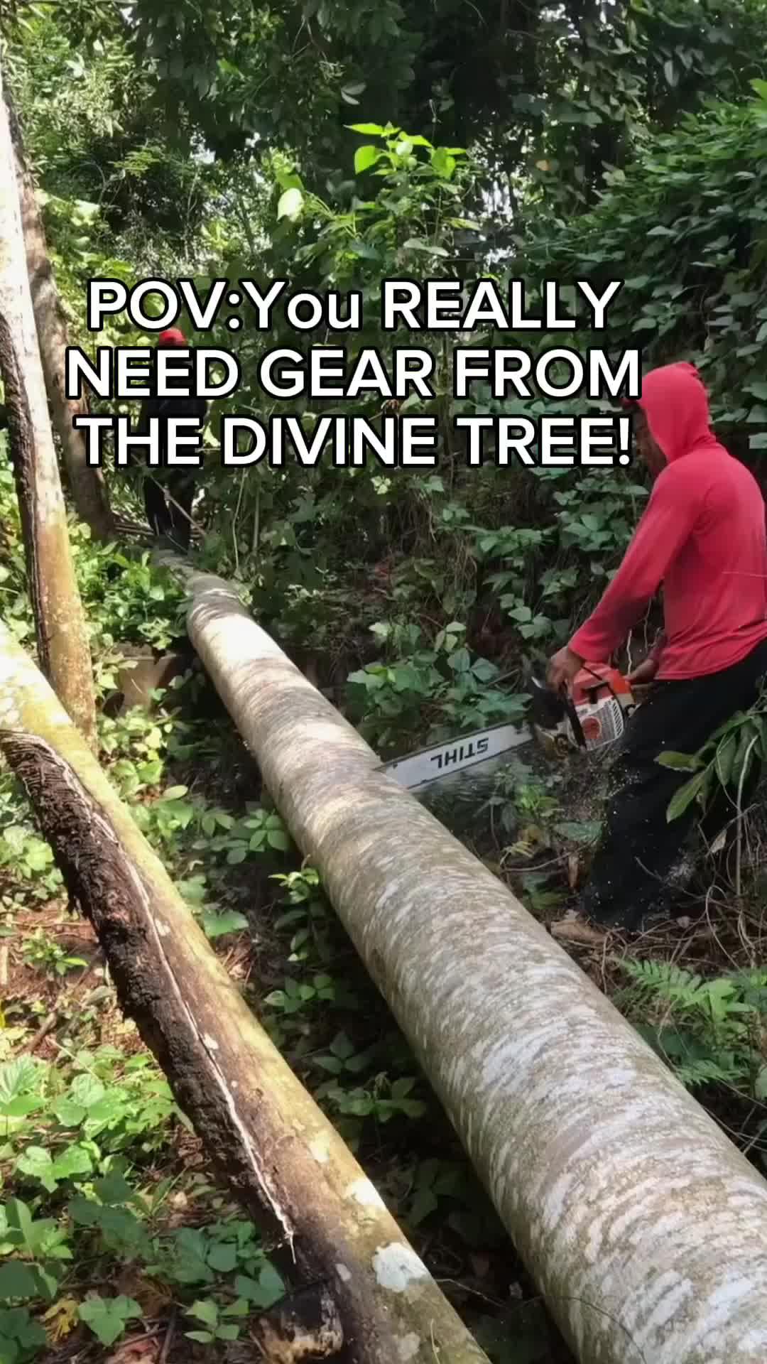 Download NOW for FREE!