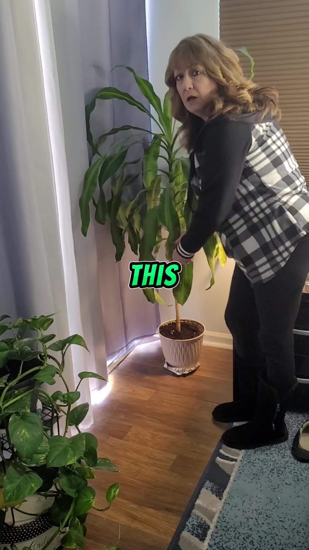 Identify plants & diseases. Get full plant information and personal care schedule.