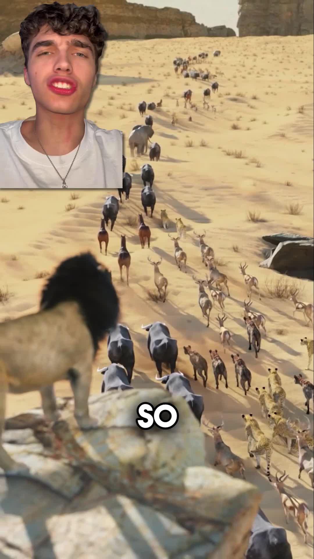 Rule your animal kingdom!