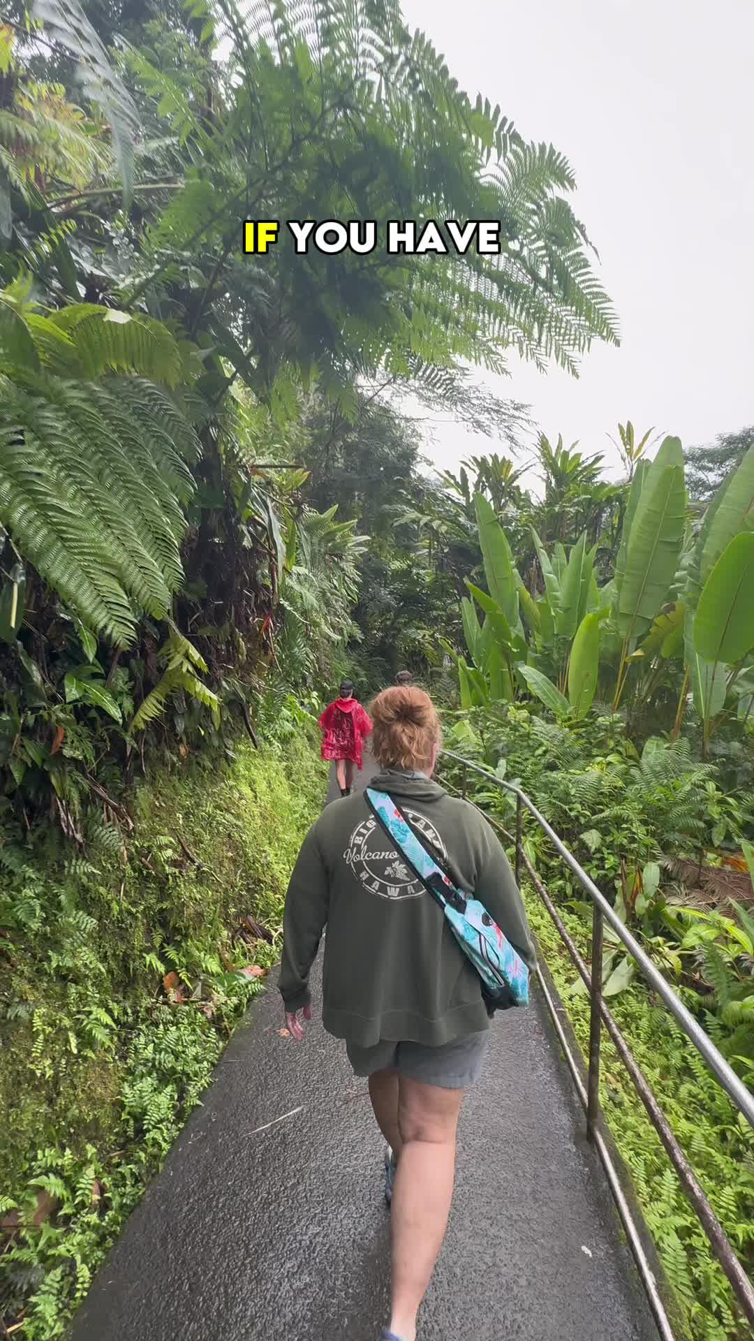 Set exclusive widgets & themes for your Phone