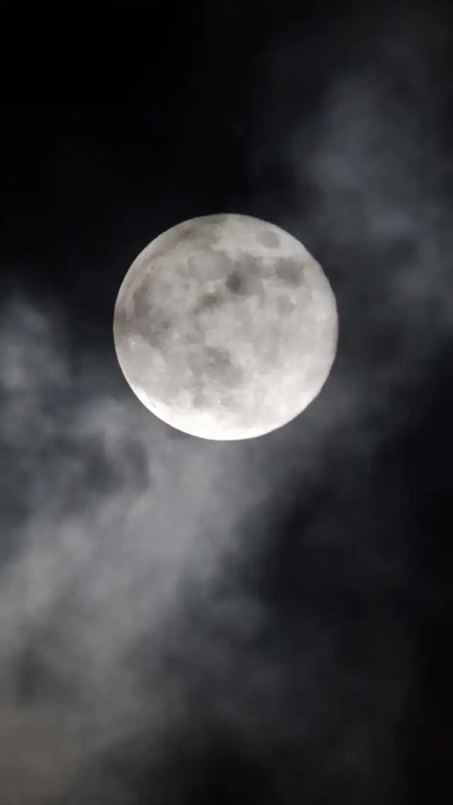 ひとりの時間がより楽しくなるSpoon！