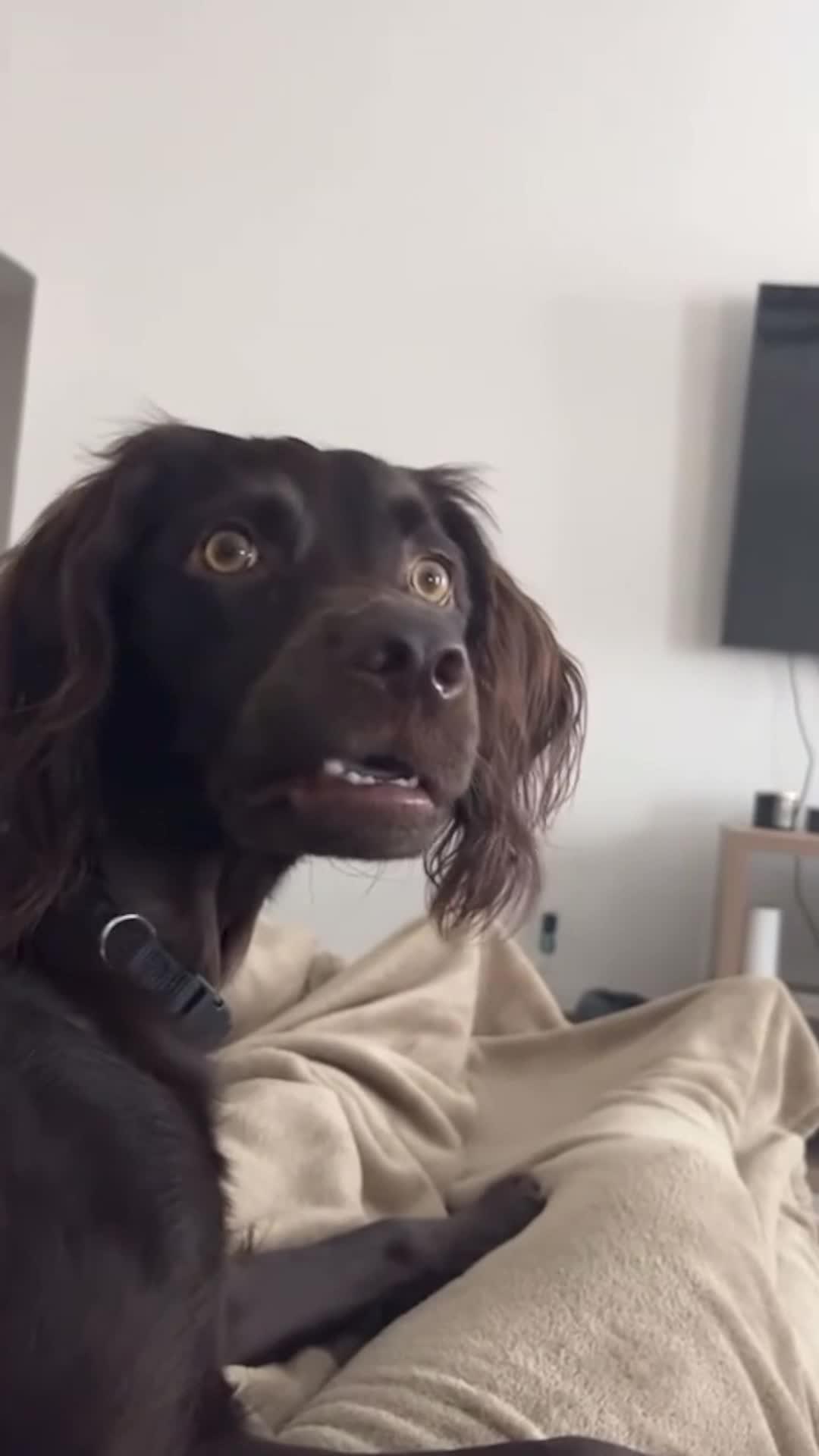 Tích luỹ nạp xíu xiu - Nhận thần tướng SSS Tào Tháo cùng full trang bị đỏ! Lên đồ!